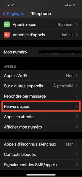 Renvoi d'appel sur Apple 2