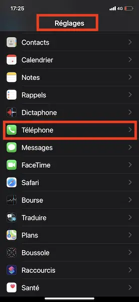 Renvoi d'appel sur Apple 1 