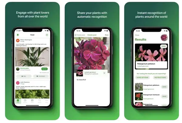 PlantSnap top application reconnaître plante