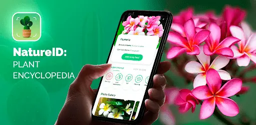 nature id top plante app
