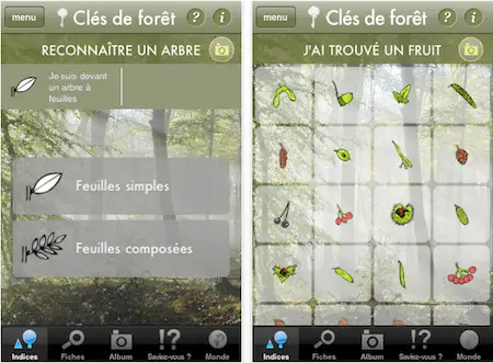 clés de forêt 10 application reconnaissance arbres