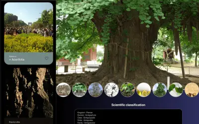 Application pour reconnaître les arbres : top 10 des meilleures applis
