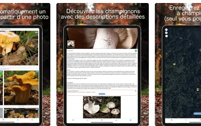 Application pour reconnaître les champignons : top 10 des meilleures app’