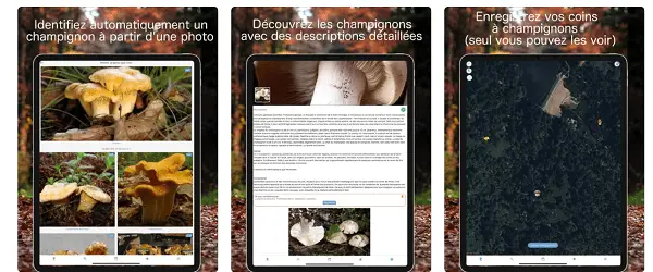 champignouf application pour reconnaitre les champignons