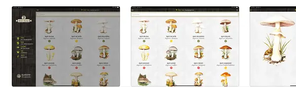 declic champi top app champignon