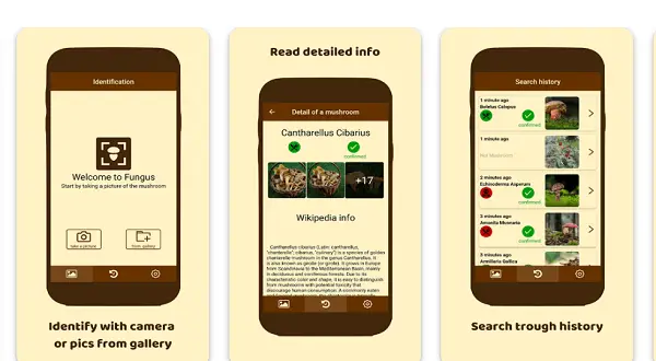 fungus app identification champignon